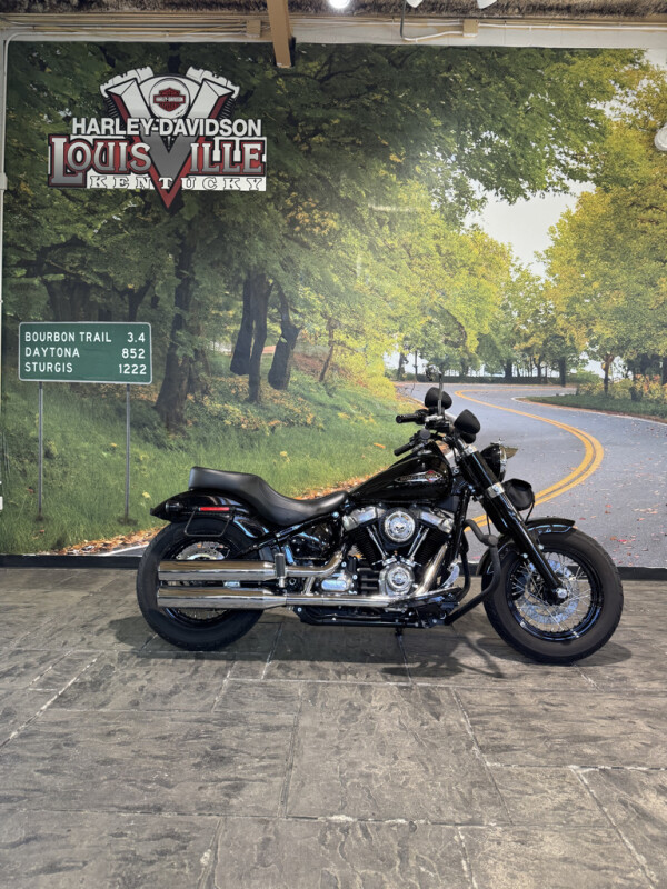 2018 Harley-Davidson Softail Slim