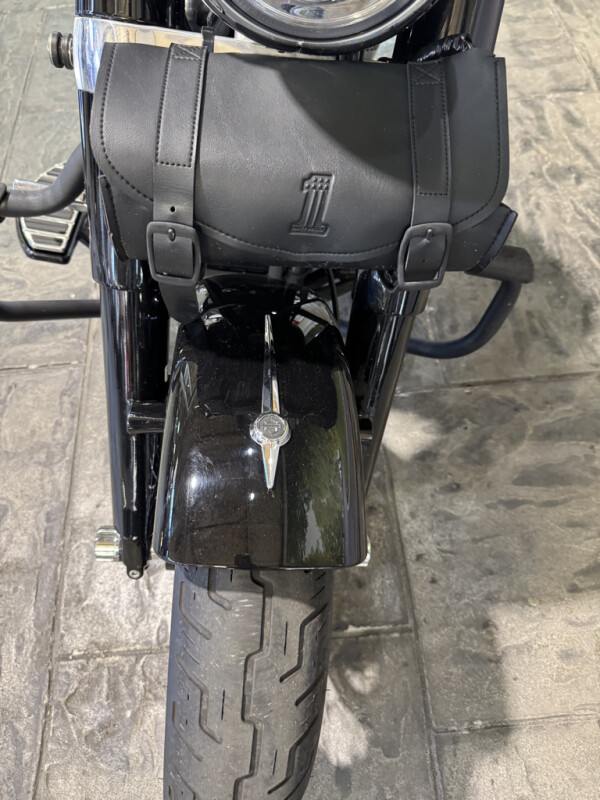 2018 Harley-Davidson Softail Slim - Photo 10