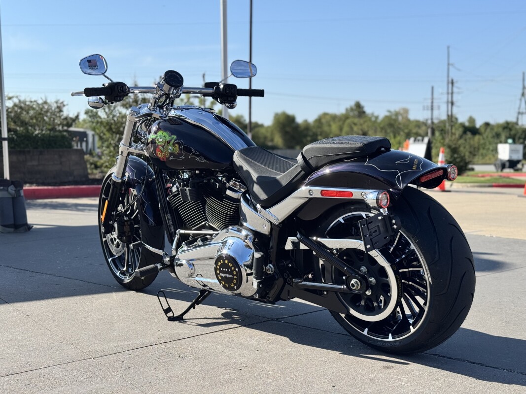 2025 Harley-Davidson Breakout FXBR RatFink Custom 1OF1 - Photo 4