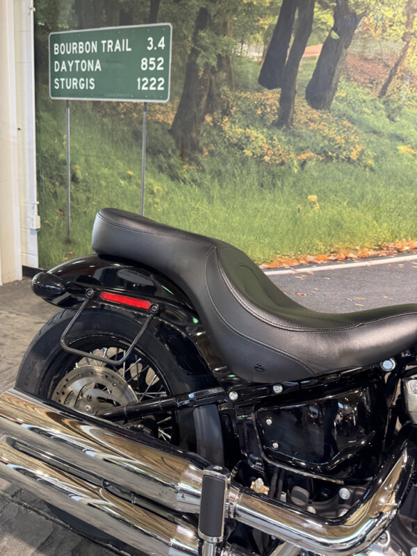 2018 Harley-Davidson Softail Slim - Photo 7