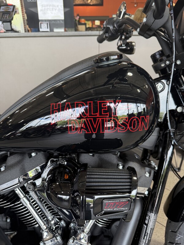 FXLRS 2025 Low Rider S - Photo 5