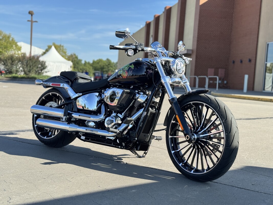 2025 Harley-Davidson Breakout FXBR RatFink Custom 1OF1 - Photo 2