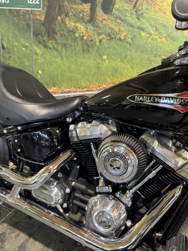 2018 Harley-Davidson Softail Slim - Photo 6