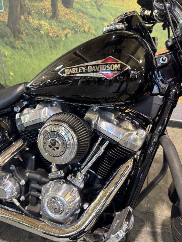 2018 Harley-Davidson Softail Slim - Photo 3