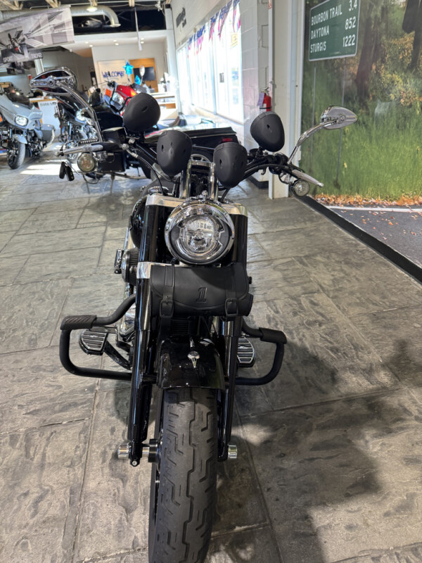 2018 Harley-Davidson Softail Slim - Photo 9