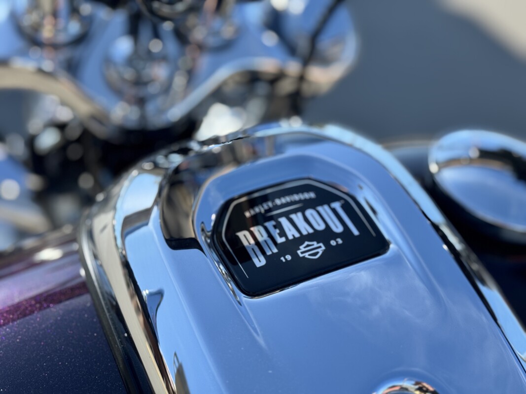 2025 Harley-Davidson Breakout FXBR RatFink Custom 1OF1 - Photo 7