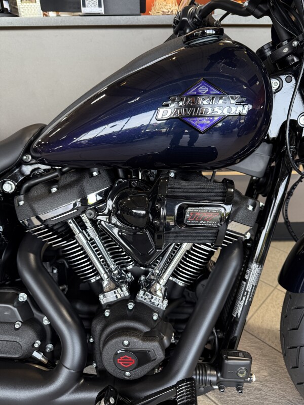 FXLRS 2025 Low Rider S - Photo 2