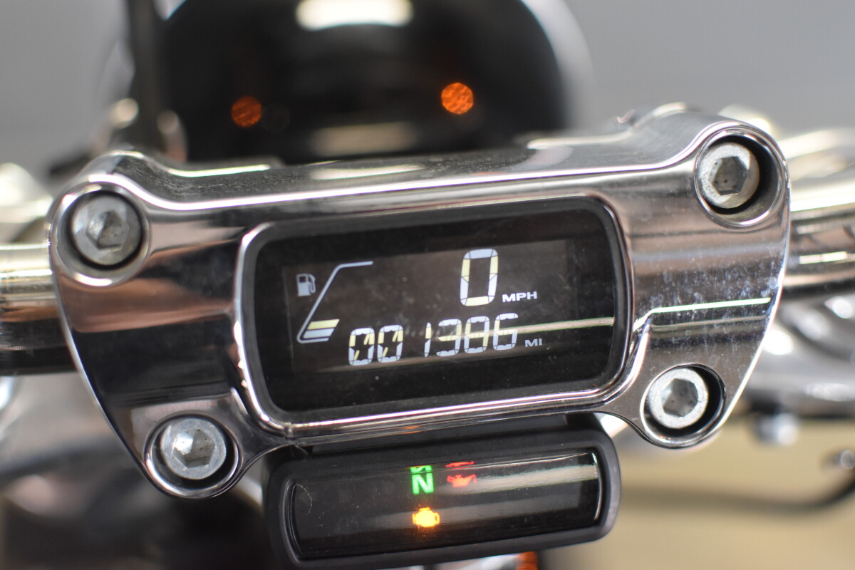 2021 Harley-Davidson Softail Standard FXST - Photo 9