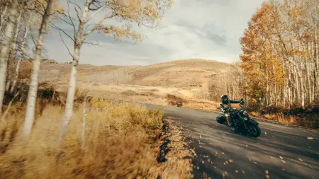 Maintenance Tips for the 2025 Harley-Davidson® Road King® Special near Fayetteville NC