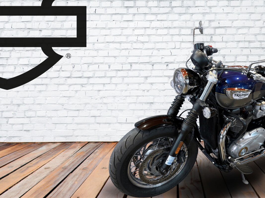 2024 Triumph Bonneville Speedmaster Pacific Blue & Silver Ice - Photo 8