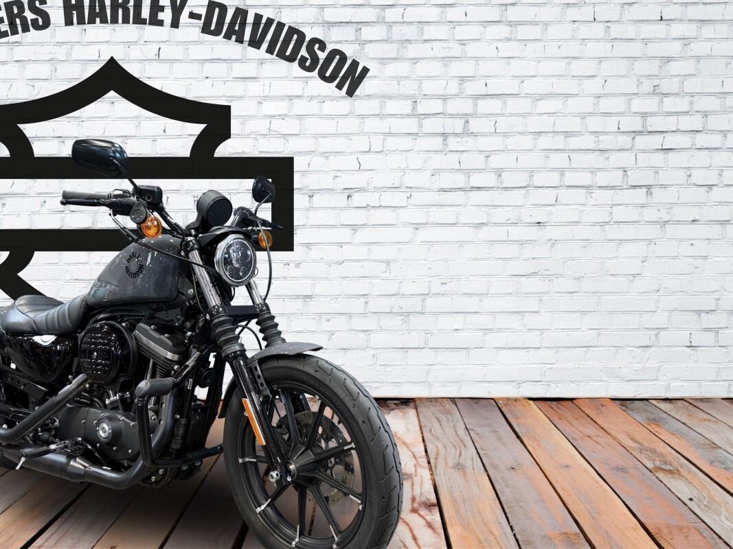 2022 Harley-Davidson Iron 883 Gunship Gray - Photo 3