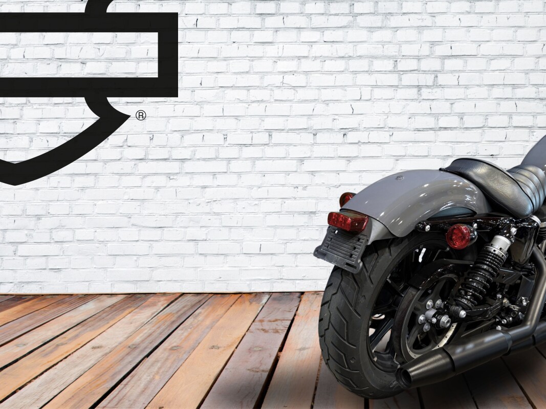 2022 Harley-Davidson Iron 883 Gunship Gray - Photo 8