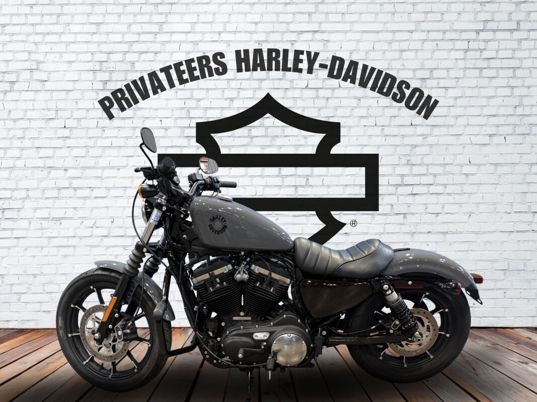 2022 Harley-Davidson Iron 883 Gunship Gray - Photo 2