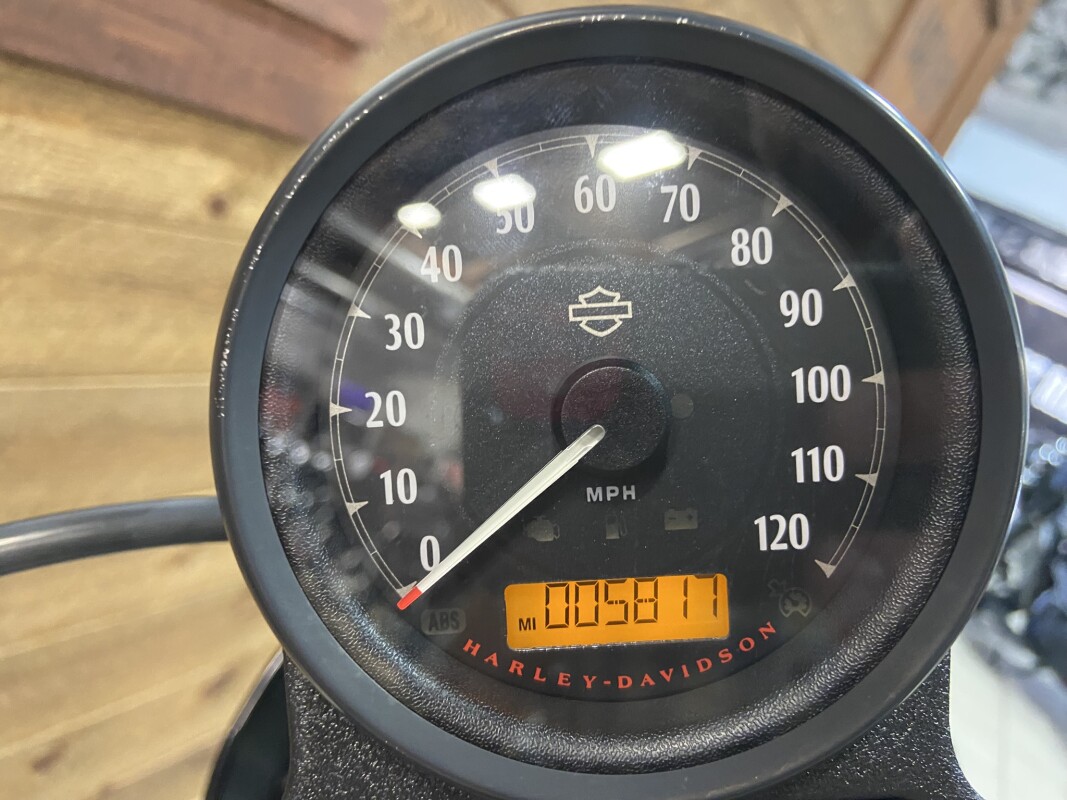 2020 Harley-Davidson Iron 1200 Barracuda Silver XL1200NS - Photo 6