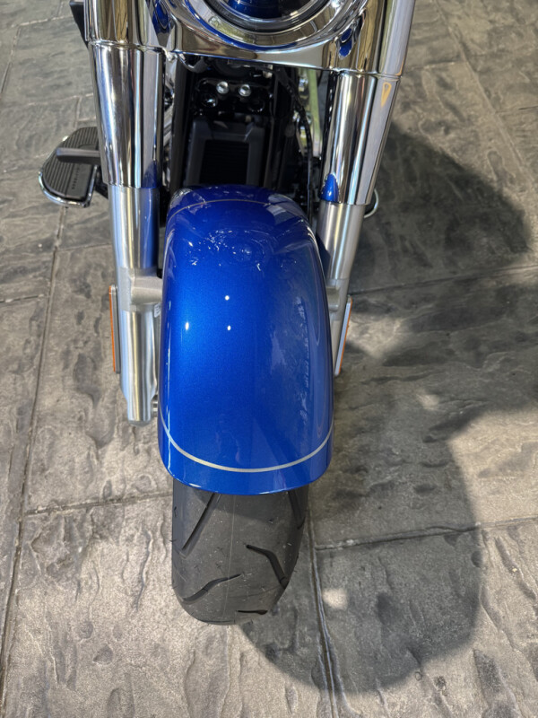 2025 Harley-Davidson Fat Boy - Photo 10