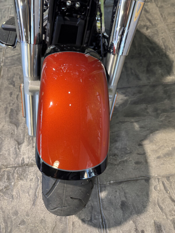 2025 Harley-Davidson Fat Boy - Photo 10