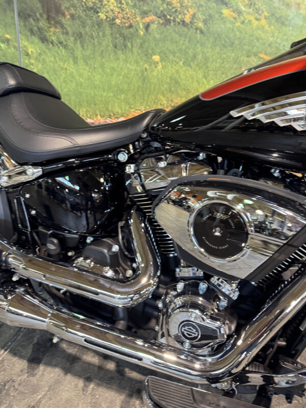 2025 Harley-Davidson Fat Boy - Photo 4