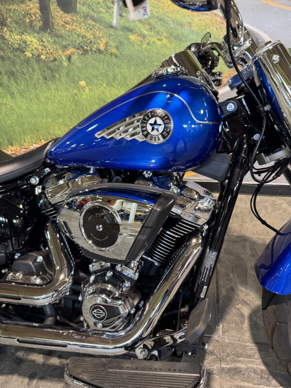 2025 Harley-Davidson Fat Boy - Photo 3