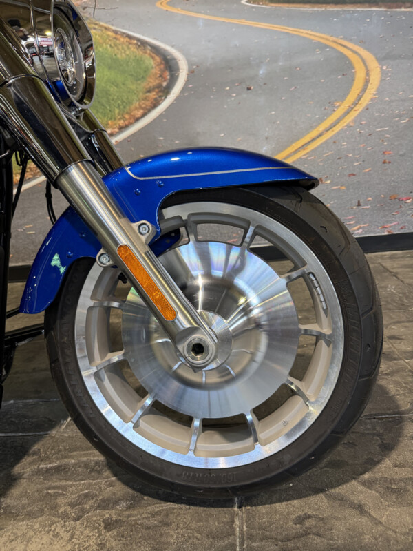2025 Harley-Davidson Fat Boy - Photo 8