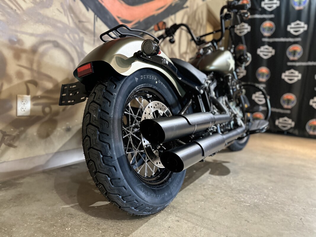 FLSS 2016 Softail Slim S - Photo 3