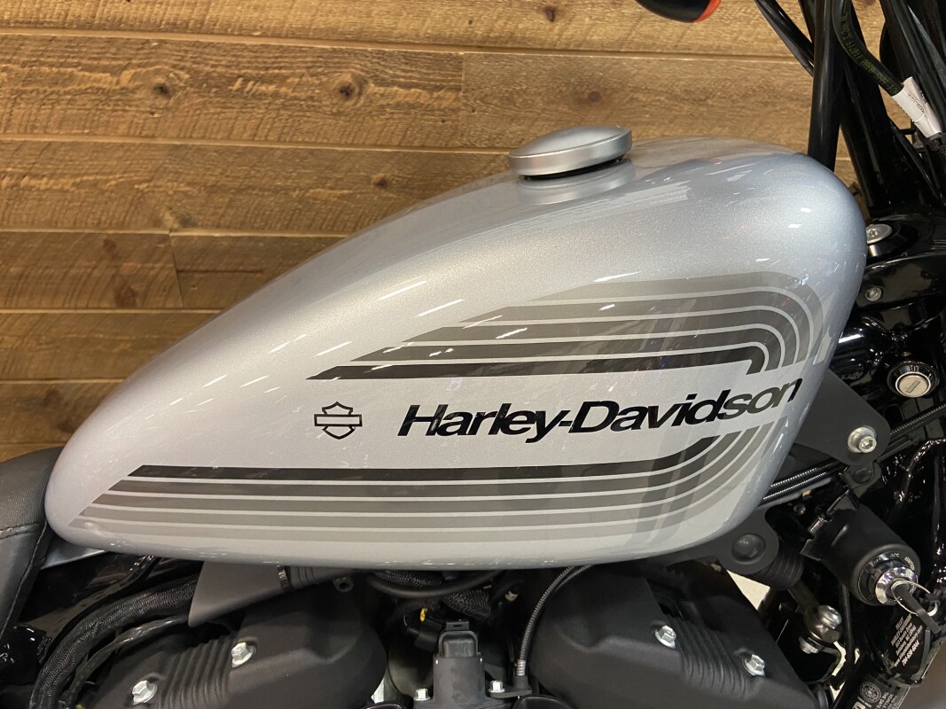 2020 Harley-Davidson Iron 1200 Barracuda Silver XL1200NS - Photo 2