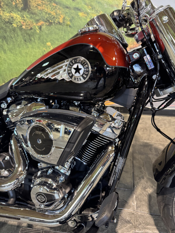 2025 Harley-Davidson Fat Boy - Photo 3