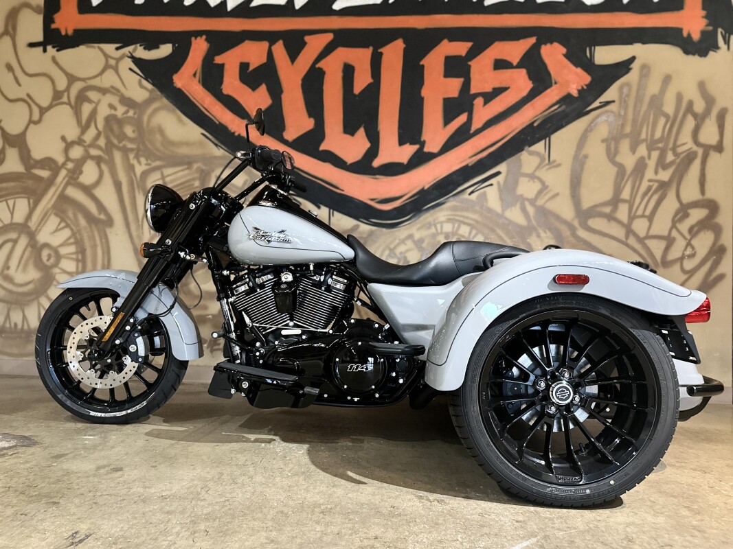 FLRT 2025 Freewheeler - Photo 9