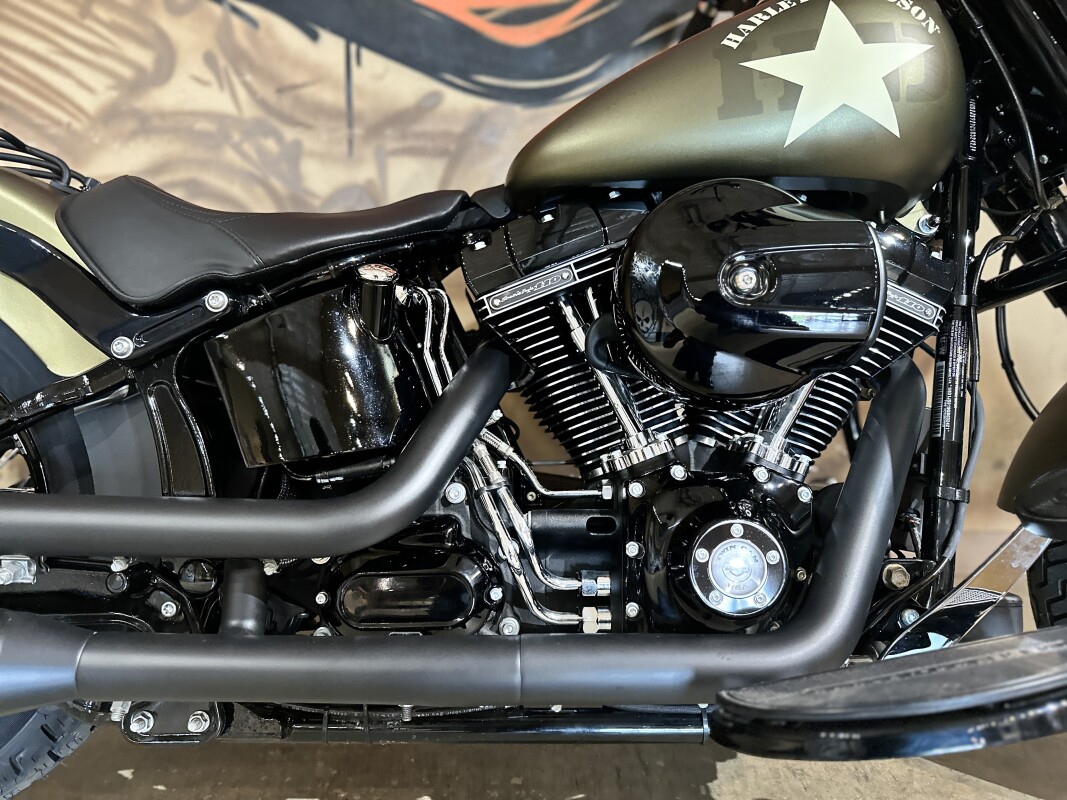 FLSS 2016 Softail Slim S - Photo 7