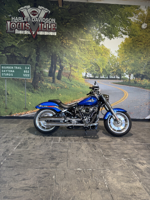 2025 Harley-Davidson Fat Boy