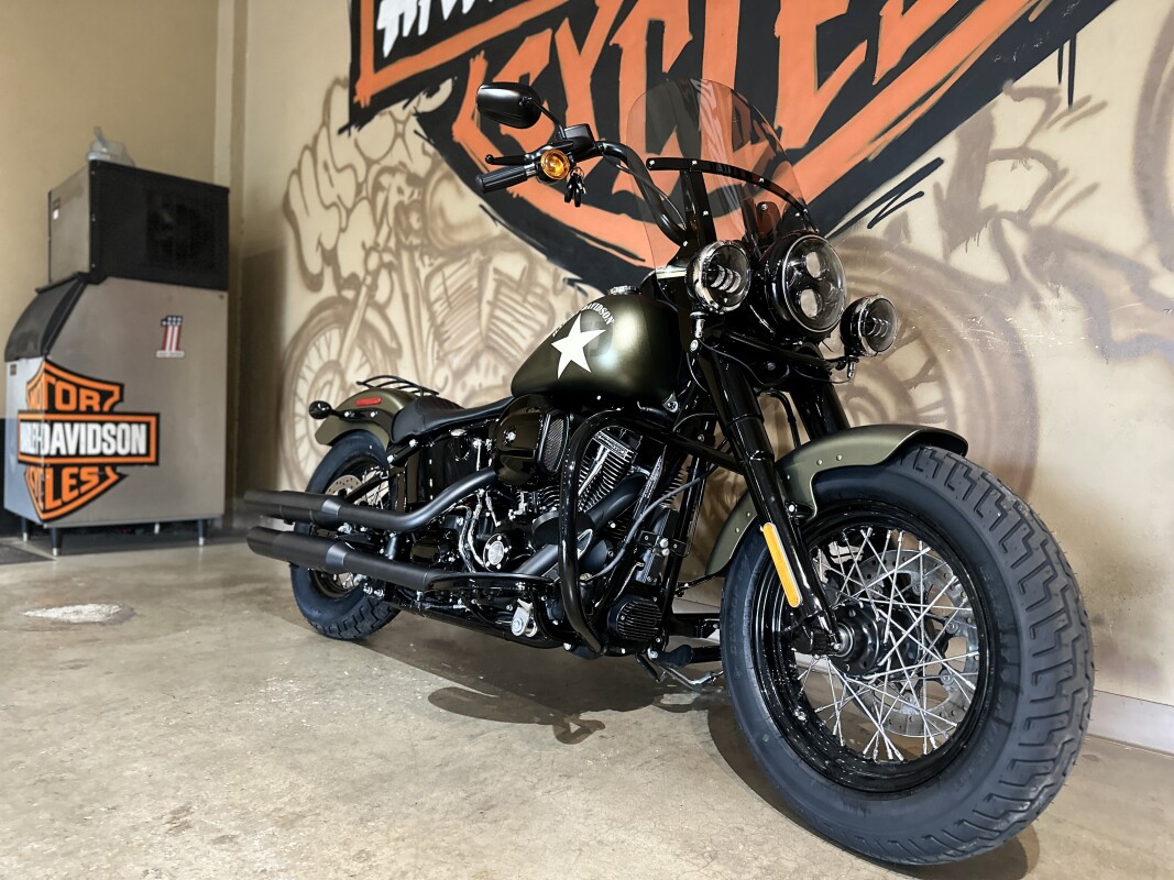 FLSS 2016 Softail Slim S - Photo 5