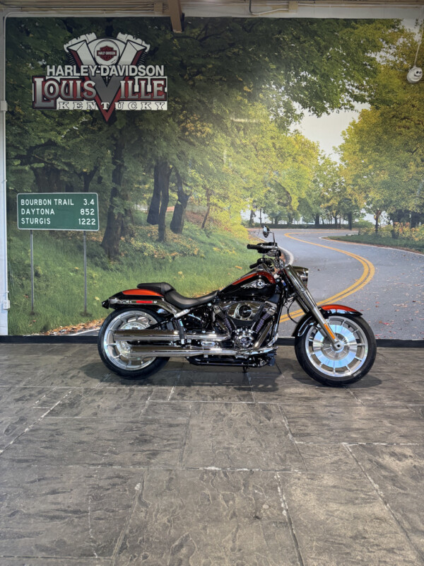 2025 Harley-Davidson Fat Boy