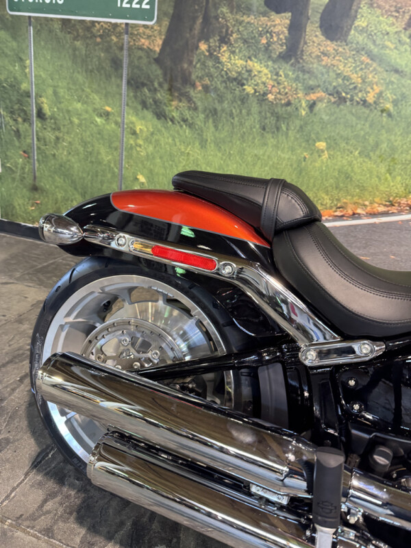 2025 Harley-Davidson Fat Boy - Photo 6