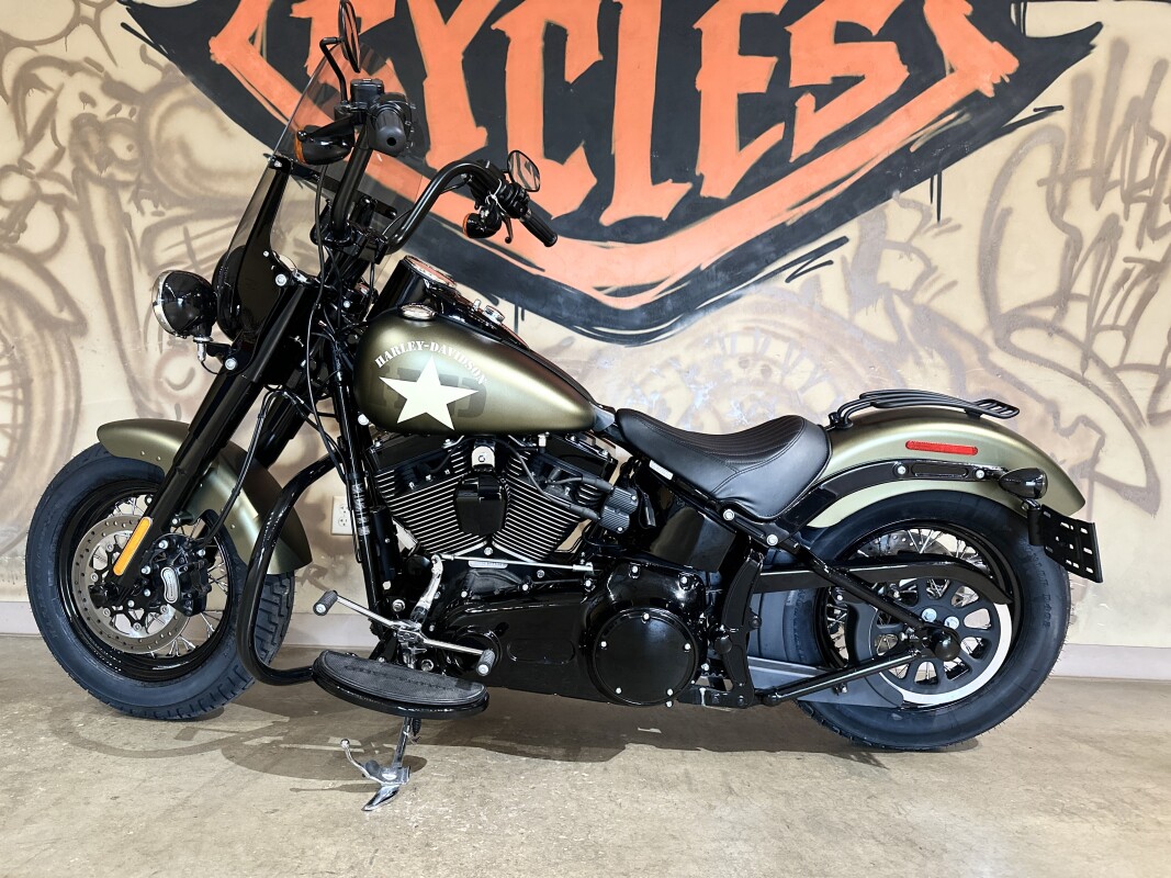 FLSS 2016 Softail Slim S - Photo 9
