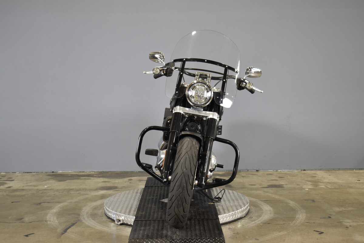 2019 Harley-Davidson Softail Slim FLSL - Photo 3