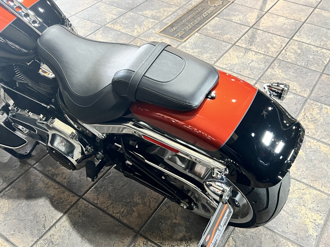 FLFB 2025 Fat Boy - Photo 6