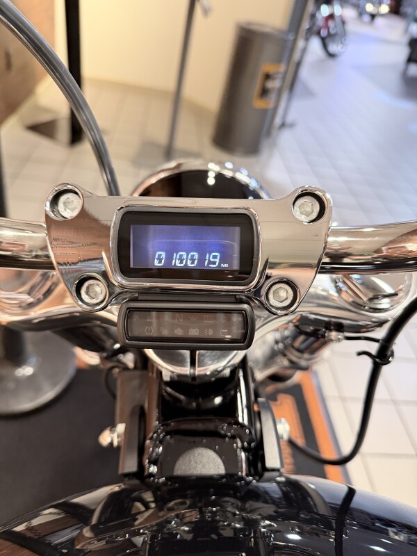 2023 H-D FXST Softail Standard 107ci - Photo 8