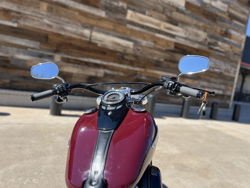 2020 Harley-Davidson Softail Slim Billiard Burgundy - Photo 10