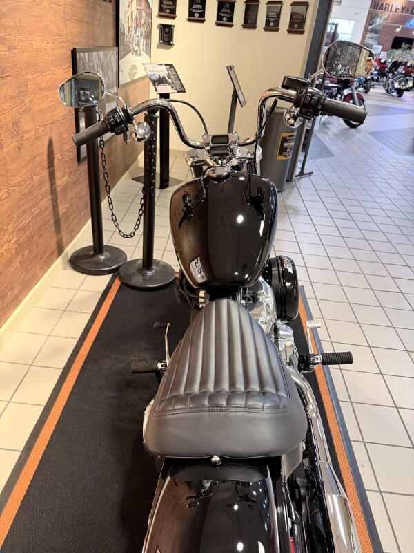 2023 H-D FXST Softail Standard 107ci - Photo 6