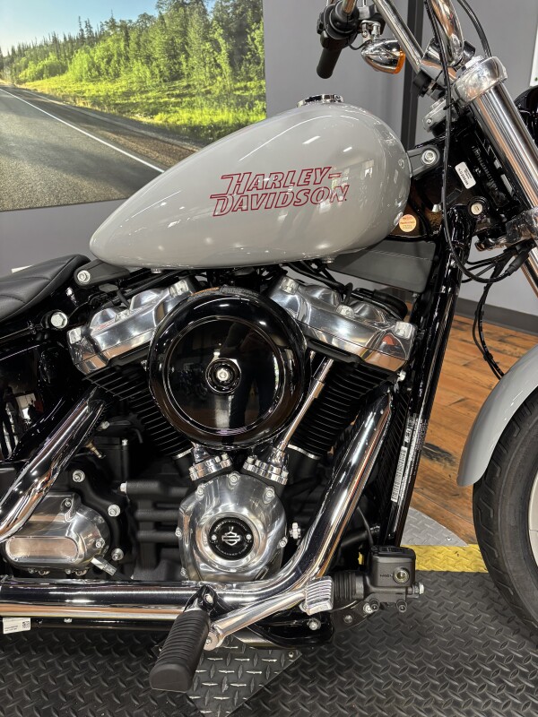 2024 Harley-Davidson Softail Standard BILLIARD GRAY - Photo 6
