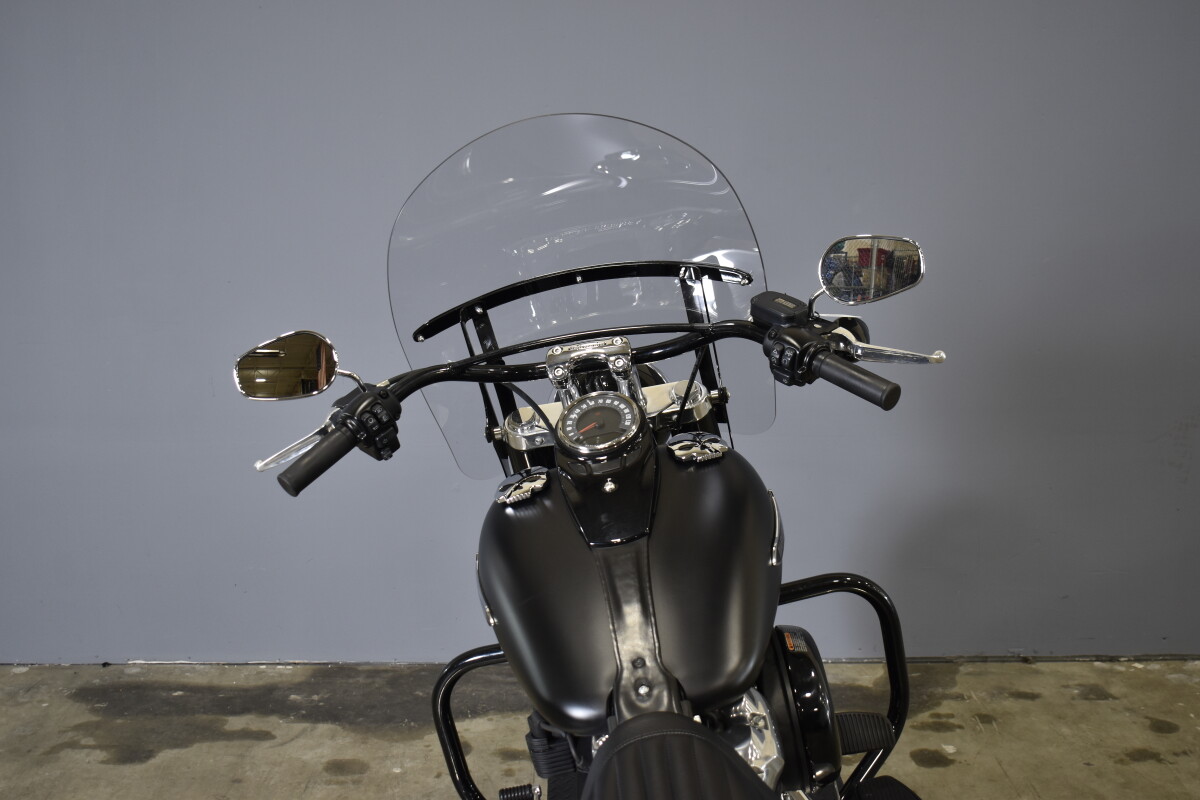 2019 Harley-Davidson Softail Slim FLSL - Photo 8