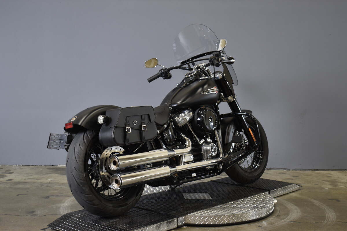 2019 Harley-Davidson Softail Slim FLSL - Photo 9
