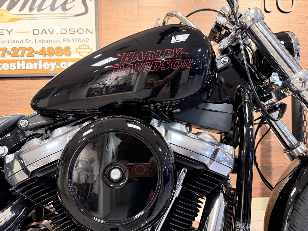 2023 H-D FXST Softail Standard 107ci - Photo 3