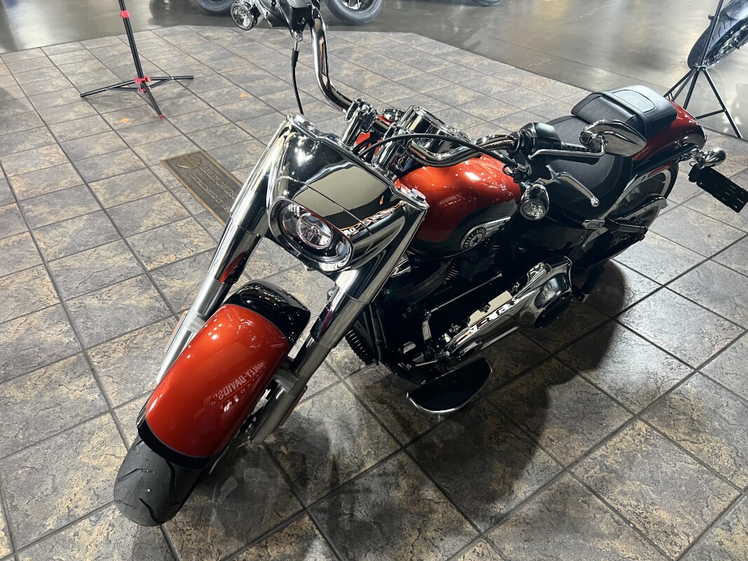 FLFB 2025 Fat Boy - Photo 8