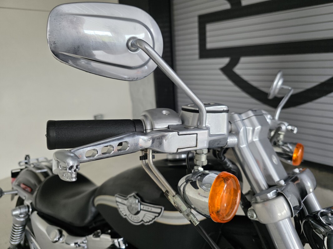 2003 Harley-Davidson 1200 Custom - Photo 10