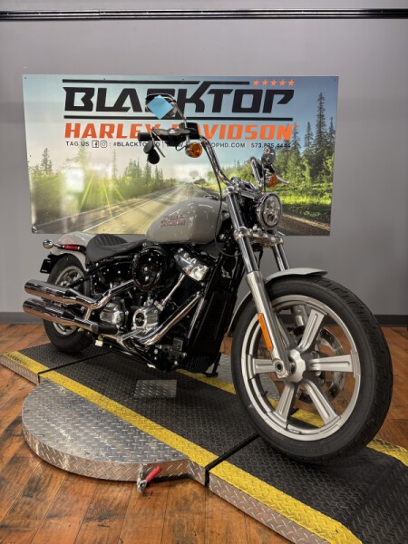 2024 Harley-Davidson® Softail™ Standard BILLIARD GRAY