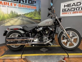 2024 Harley-Davidson® Softail™ Standard BILLIARD GRAY thumb 2