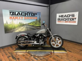 2024 Harley-Davidson® Softail™ Standard BILLIARD GRAY thumb 3