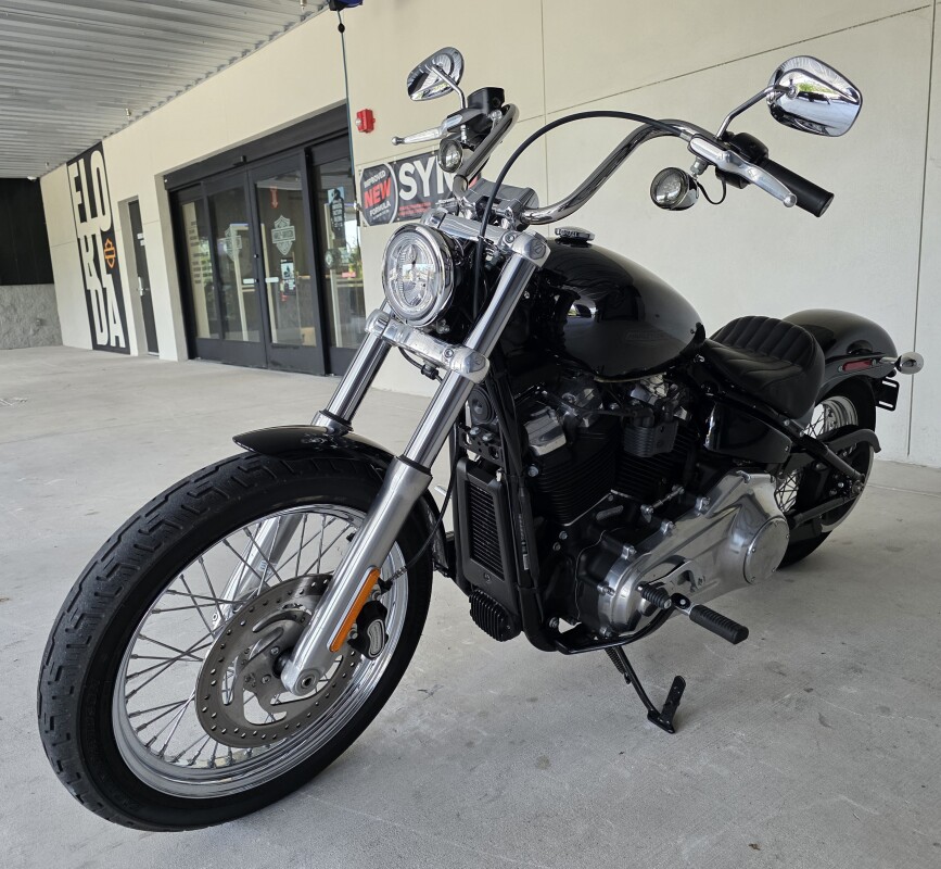 2020 Harley-Davidson Softail Standard - Photo 10