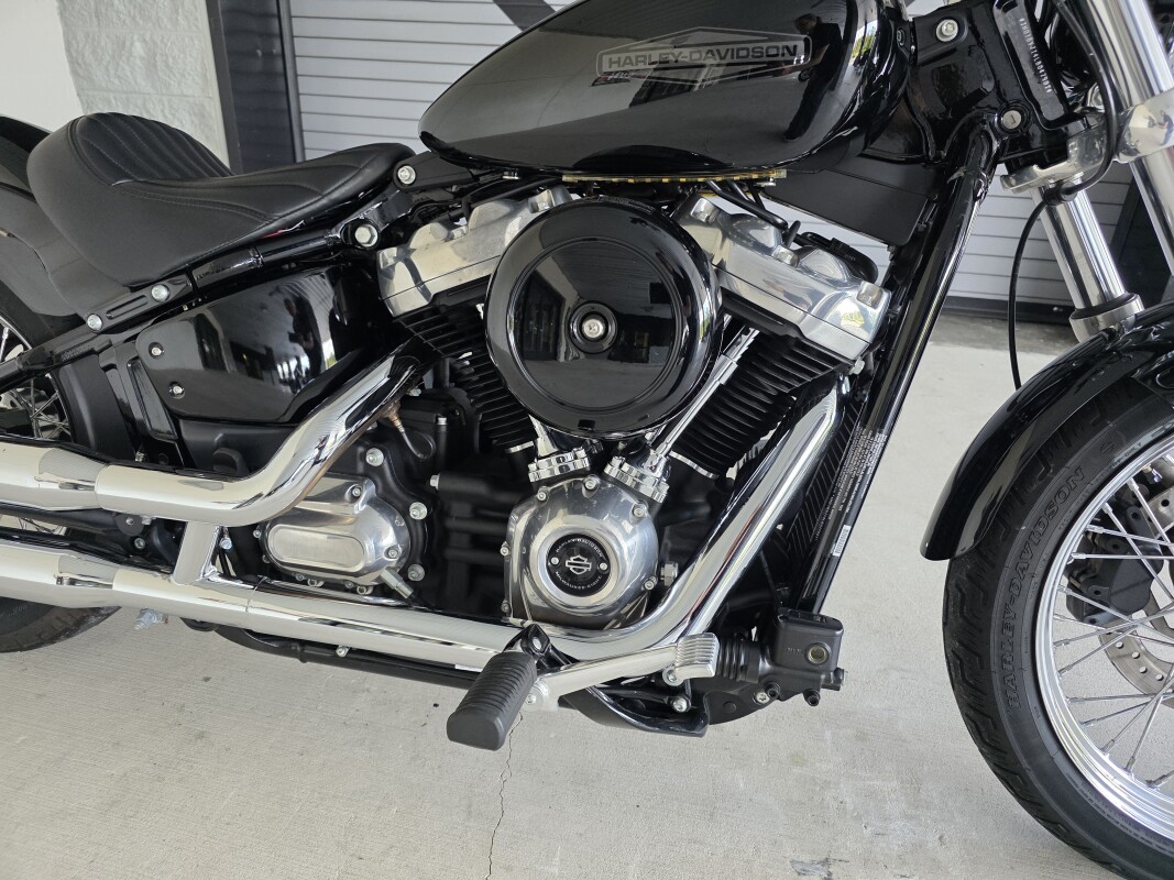 2020 Harley-Davidson Softail Standard - Photo 3