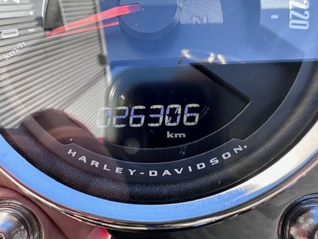 2020 Harley Davidson Low Rider - Photo 8